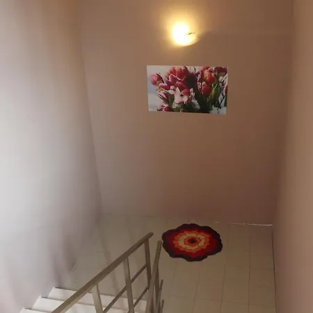 Tulip
